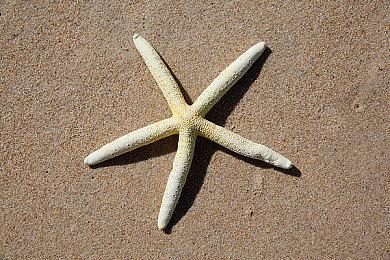 《刺客信条：幻景》可能存在真实赌博系统